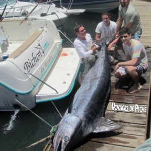 Après deux heures et demie de combat ce marlin bleu de 200 kilos combattu par Jérémy Marot est arrivé mort au bateau. Il a donc été embarqué, mais, promis, le prochain sera relâché…