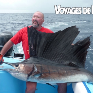 Entre deux poissons coqs Zahier Braci a capturé et relâché ce beau voilier au large du Golfo Dulce. Prise faite lors d’un séjour avec Costa Rica Pêche Passion début février