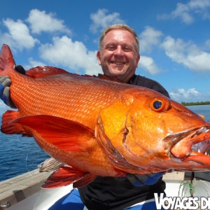 Patrick Jacquot est allé découvrir l’île de Sulawesi avec le guide Pierre Porte, parmi les poissons capturés ce lutjan bohar très coloré !