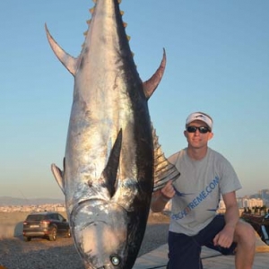En juillet dernier, Kévin Gruhel a bataillé ce gros thon rouge de 193 kilos dans le détroit de Gibraltar. Poisson touché en traîne avec un Bonita !