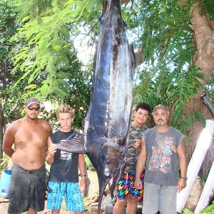 Didier Karman et ses fils ont remonté coup sur coup deux marlins bleus au large de Bourail, « un de 200 kilos et un petit de 60 kg avec un leurre Black Pearl ».