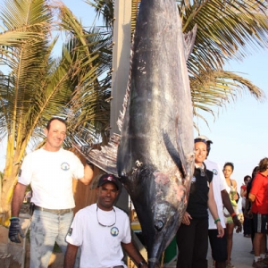 Thierry Belassié a sorti ce marlin bleu de 350 kilos des eaux dakaroises avec l’assistance de Sylvain et Sandra Llopes lors d’un tournoi organisé à l’hôtel Terrou Bi.
