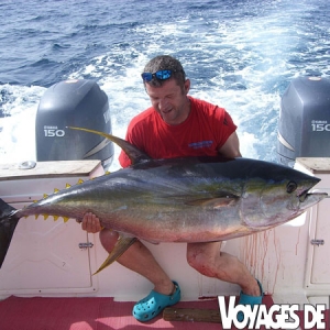 e joli thon albacore (yellowfin) de 61 kilos a testé les muscles et le matériel de Luc Madrennes qui séjournait à La Cabane du Pêcheur sur la plage de Ngor.